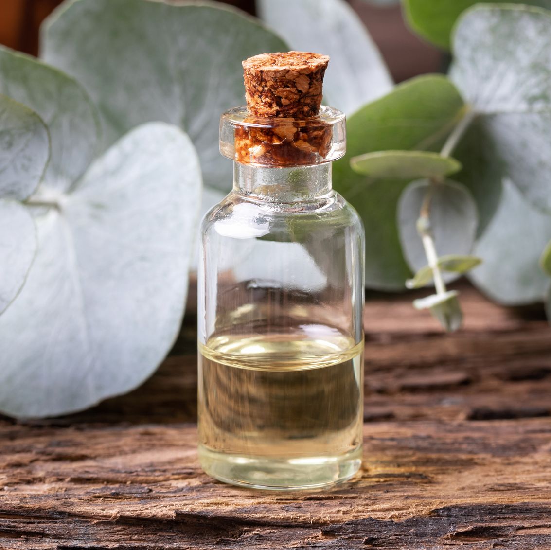 The Benefits of Diffusing Eucalyptus Essential Oil